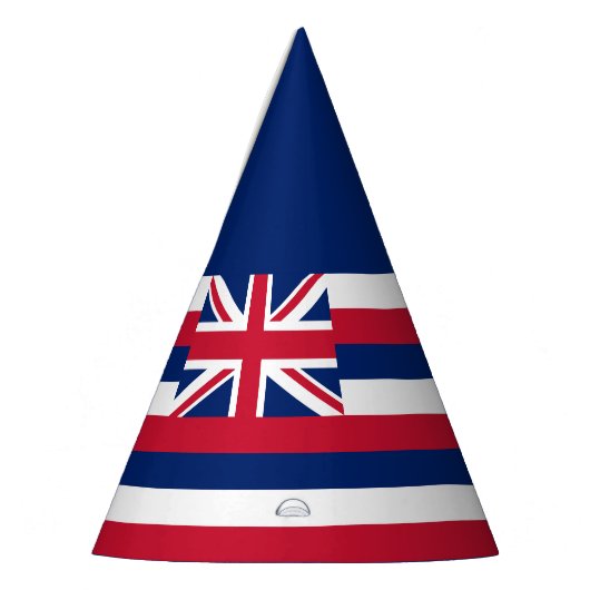 Hawaii Staatsvlag Feesthoedjes (Links)