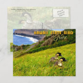 Hawaii State Bird - Nene of Hawaiian Goose Briefkaart (Voorkant / Achterkant)