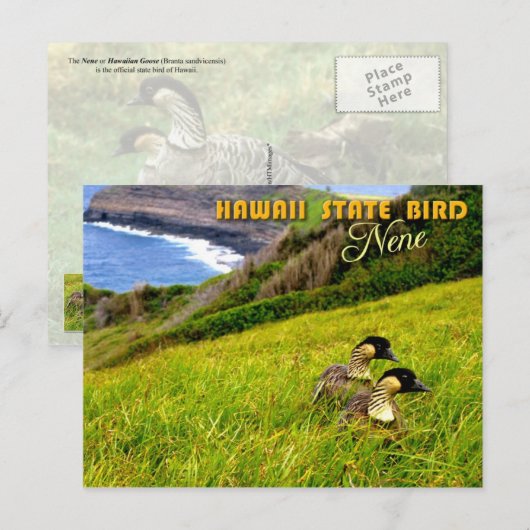 Hawaii State Bird - Nene of Hawaiian Goose Briefkaart (Voorkant / Achterkant)