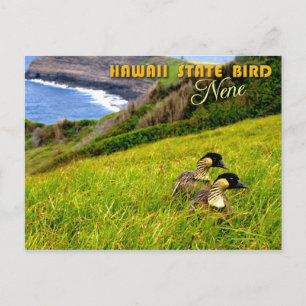 Hawaii State Bird - Nene of Hawaiian Goose Briefkaart