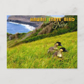 Hawaii State Bird - Nene of Hawaiian Goose Briefkaart (Voorkant)
