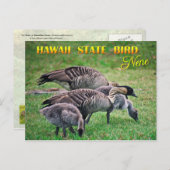 Hawaii State Bird - Nene of Hawaiian Goose Briefkaart (Voorkant / Achterkant)