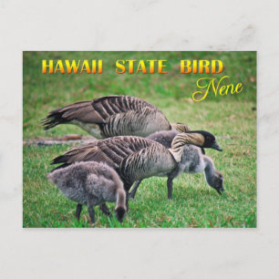 Hawaii State Bird - Nene of Hawaiian Goose Briefkaart