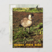 Hawaii State Bird - Nene of Hawaiian Goose Briefkaart (Voorkant / Achterkant)