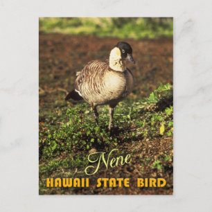 Hawaii State Bird - Nene of Hawaiian Goose Briefkaart