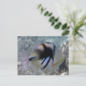 Hawaii State Fish - Himuhumunukunukuapua'a Briefkaart (Staand voorkant)