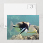 Hawaii State Fish - Humuhumunukunukuapua'a Briefkaart (Voorkant / Achterkant)
