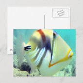 Hawaii State Fish - Humuhumunukunukuapua'a Briefkaart (Voorkant / Achterkant)