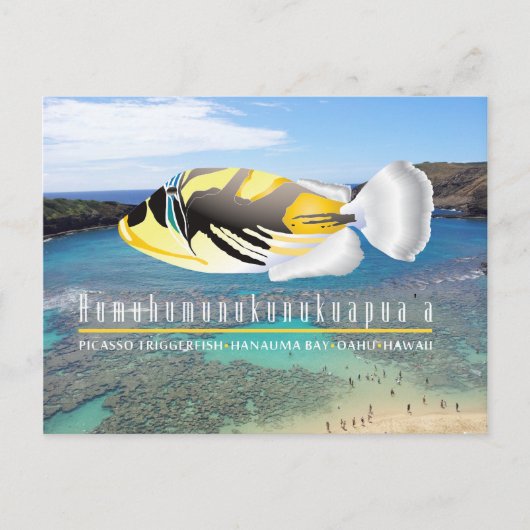 Hawaii State Fish - Humuhumunukunukuapua'a Briefkaart (Voorkant)