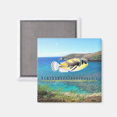 Hawaii State Fish - Humuhumunukunukuapua'a. Magneet (Voorkant / Achterkant)
