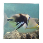 Hawaii State Fish - Humuhumunukunukuapua'a Tegeltje (Voorkant)