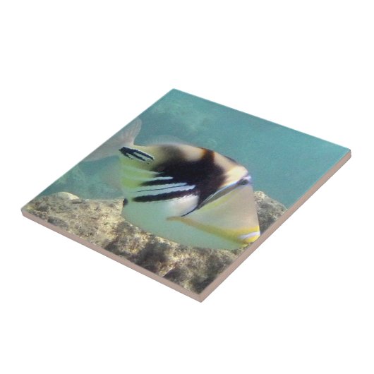 Hawaii State Fish - Humuhumunukunukuapua'a Tegeltje (Zijkant)