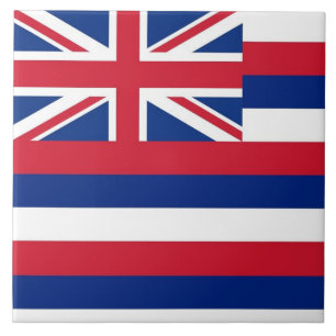 Hawaii State Flag Tegel Tegeltje