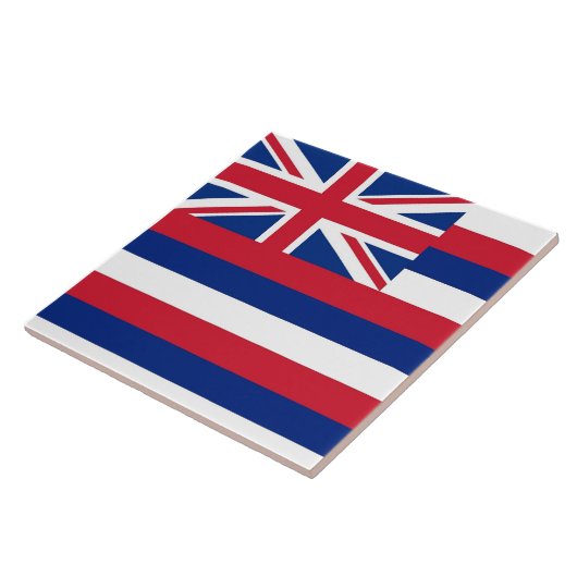 Hawaii State Flag Tegel Tegeltje (Zijkant)