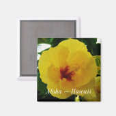 Hawaii State Flower Yellow Hibiscus Magneet (Voorkant / Achterkant)