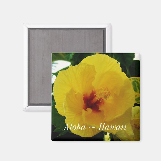 Hawaii State Flower Yellow Hibiscus Magneet (Voorkant / Achterkant)