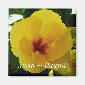 Hawaii State Flower Yellow Hibiscus Magneet (Voorkant)