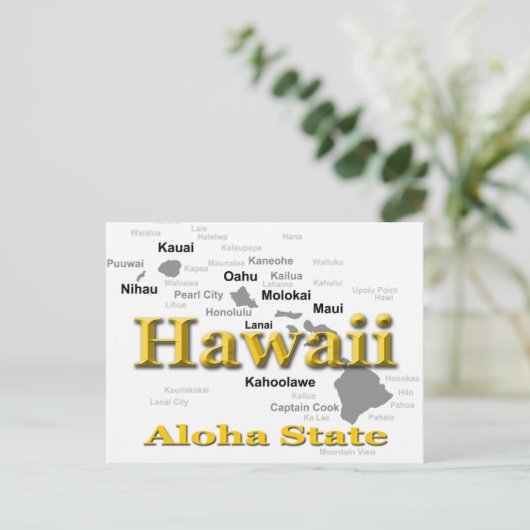 Hawaii State Pride Map Silhouette Briefkaart (Staand voorkant)