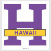 Hawaii Sticker (Vel)