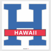 Hawaii Sticker (Vel)