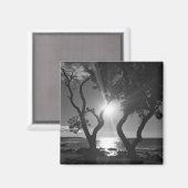Hawaii Sunlit Trees Ocean Shore Black and White Magneet (Voorkant / Achterkant)
