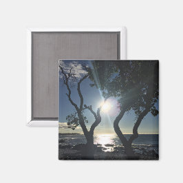 Hawaii Sunlit Trees Ocean Shore Color Photography Magneet