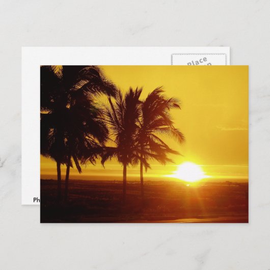 Hawaii Sunset Briefkaart (Voorkant / Achterkant)