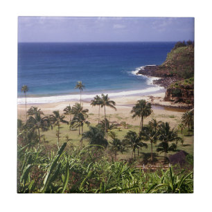 Hawaii Tegeltje