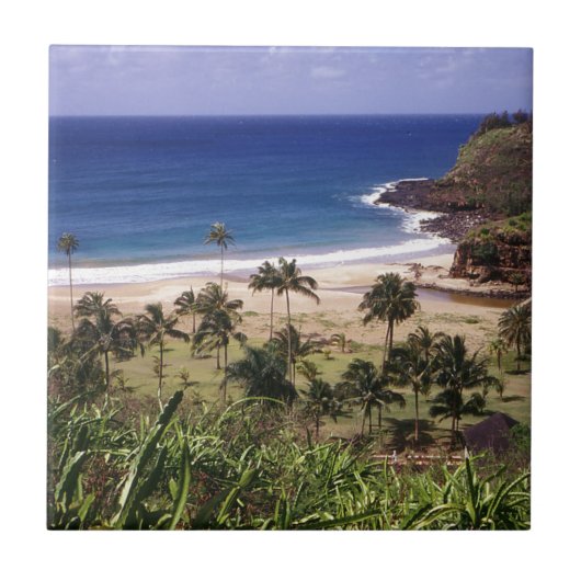 Hawaii Tegeltje (Voorkant)