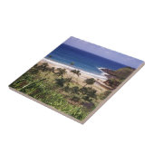 Hawaii Tegeltje (Zijkant)