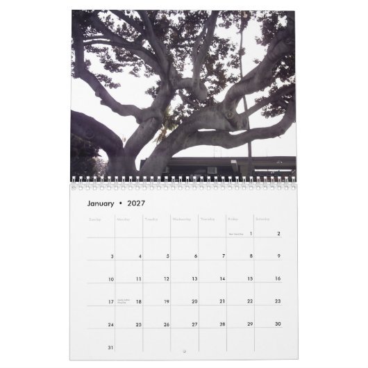 Hawaii The Big Island Calendar Kalender (Jan 2027)