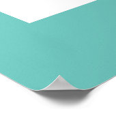 Hawaii Travel Poster (Hoek)