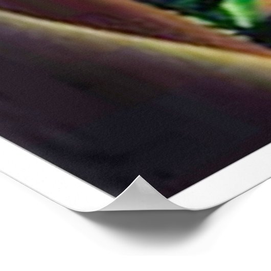 Hawaii Travel Poster  kunst (Hoek)