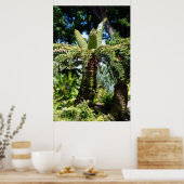 Hawaii Tree Poster (Keuken)
