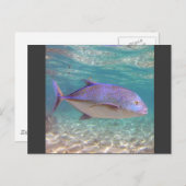 Hawaii Trevally Fish Briefkaart (Voorkant / Achterkant)