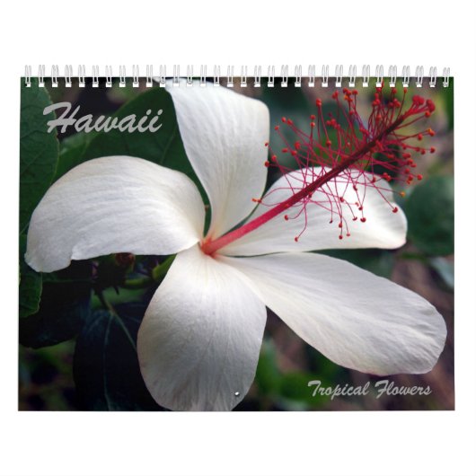 Hawaii Tropical Flowers Calendar Kalender (Hoes)