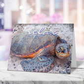 Hawaii Tropical Honu Zee Turtle Photo Relax Script Kaart