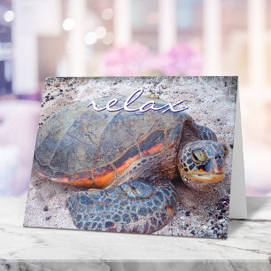 Hawaii Tropical Honu Zee Turtle Photo Relax Script Kaart