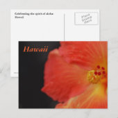 Hawaii Tropische Bloem Briefkaart (Voorkant / Achterkant)