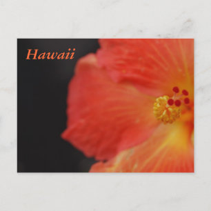 Hawaii Tropische Bloem Briefkaart