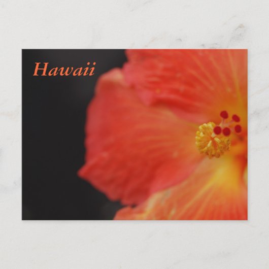 Hawaii Tropische Bloem Briefkaart (Voorkant)