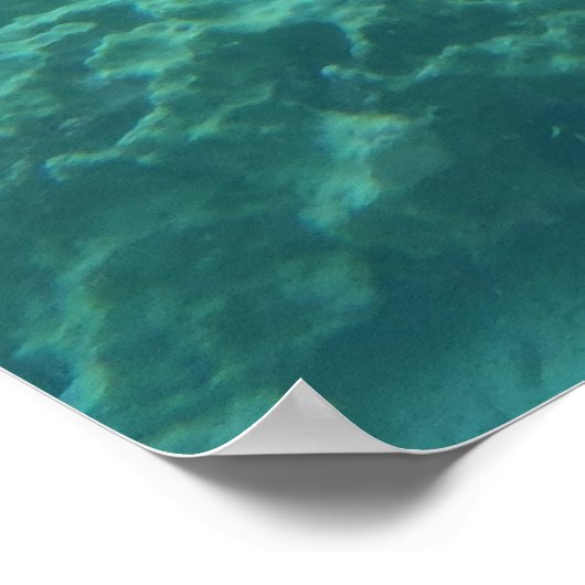 Hawaii tropische vis onderwater schilderachtig doe poster (Hoek)