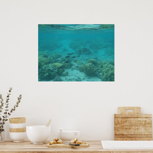 Hawaii tropische vis onderwater schilderachtig doe poster (Keuken)