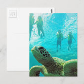 Hawaii Turtle and Snorkelers Briefkaart (Voorkant / Achterkant)