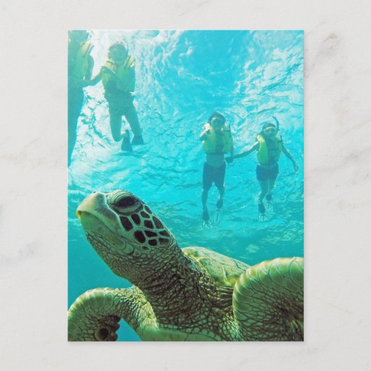 Hawaii Turtle and Snorkelers Briefkaart (Voorkant)