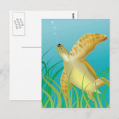 Hawaii Turtle Briefkaart (Voorkant / Achterkant)