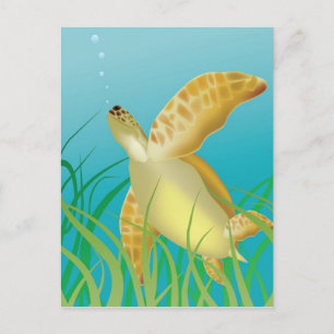 Hawaii Turtle Briefkaart