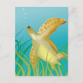 Hawaii Turtle Briefkaart (Voorkant)