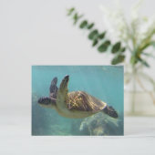 Hawaii Turtle Briefkaart (Staand voorkant)