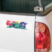 Hawaii Turtle Bumpersticker (Op Truck)